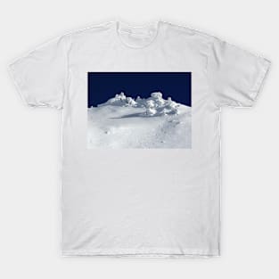 Treble Cone Summit T-Shirt